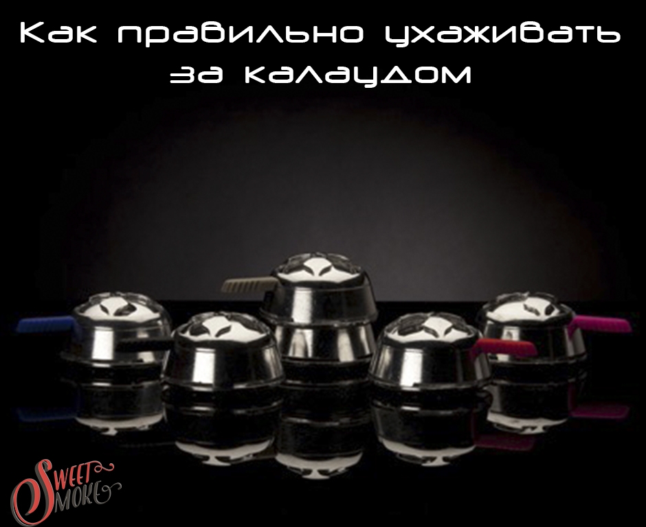 Как правильно ухаживать за калаудом