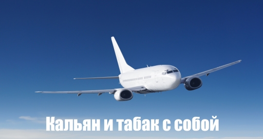 Можно ли перевезти кальян и табак в самолете с собой!?