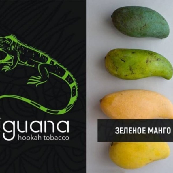 Купить Iguana HARD - Зеленое Манго (100 грамм)