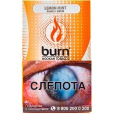 Купить Burn - Lemon Mint (Лимон и Мята, 100 грамм)