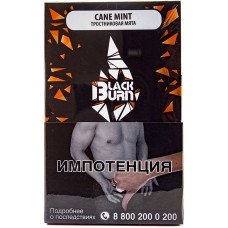 Купить Black Burn - Cane Mint (Тростниковая Мята) 100г