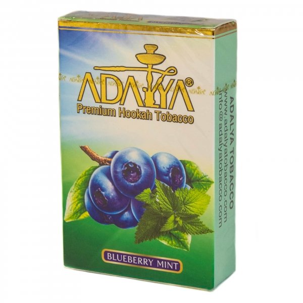 Купить Adalya –Bluberry Mint (Черника с мятой) 50г