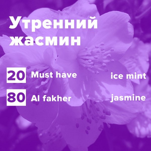 Купить Утренний жасмин (рецепт)