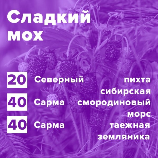 Купить Сладкий мох (рецепт)