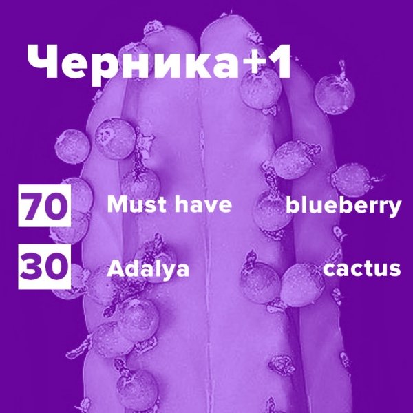 Купить Черника+1 (рецепт)