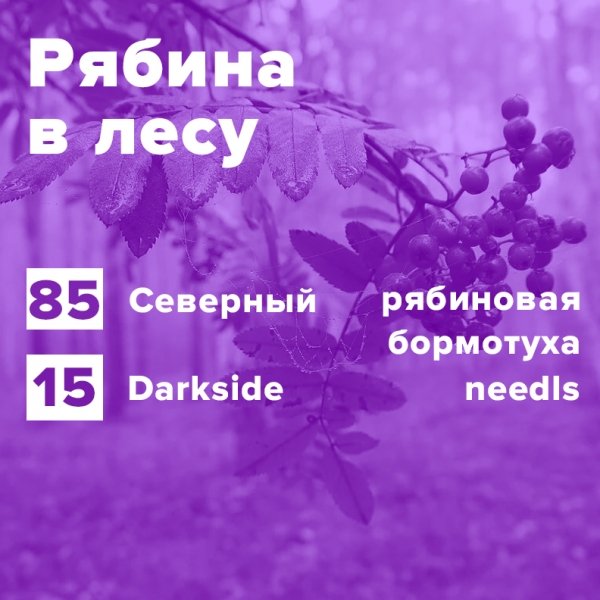 Купить Рябина в лесу (рецепт)