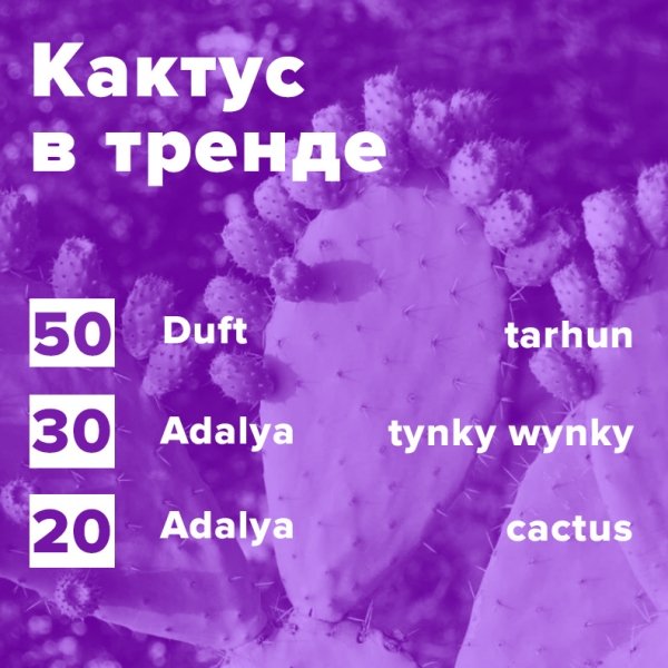 Купить Кактус в тренде (рецепт)