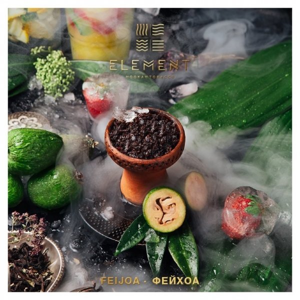 Купить Element ЗЕМЛЯ - Feijoa (Фейхоа)  200г