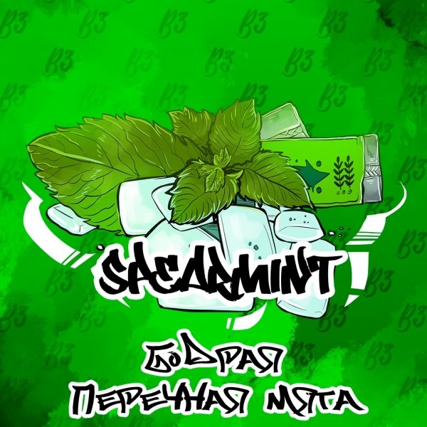 Купить B3 - Spearmint (Перечная Мята) 50г