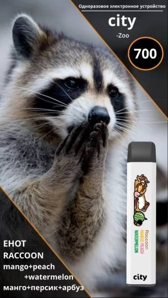 Купить City Zoo - Енот (Манго Персик Арбуз), 700 затяжек, 18 мг (1,8%)