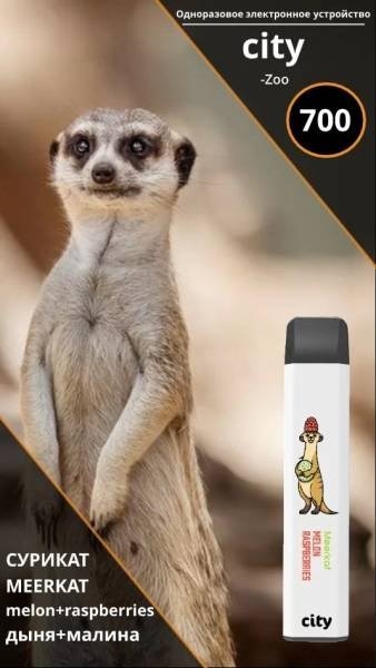 Купить City Zoo - Сурикат (Дыня Малина), 700 затяжек, 18 мг (1,8%)