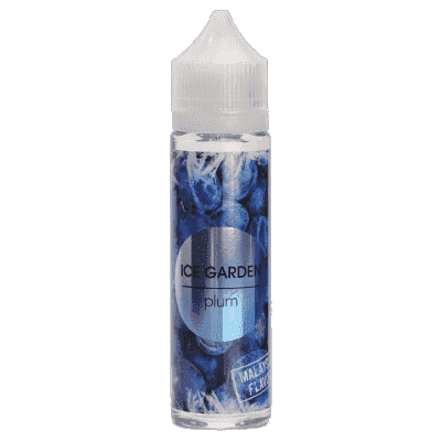 Купить Ice Garden Plum (Слива), 60 мл, 0 %