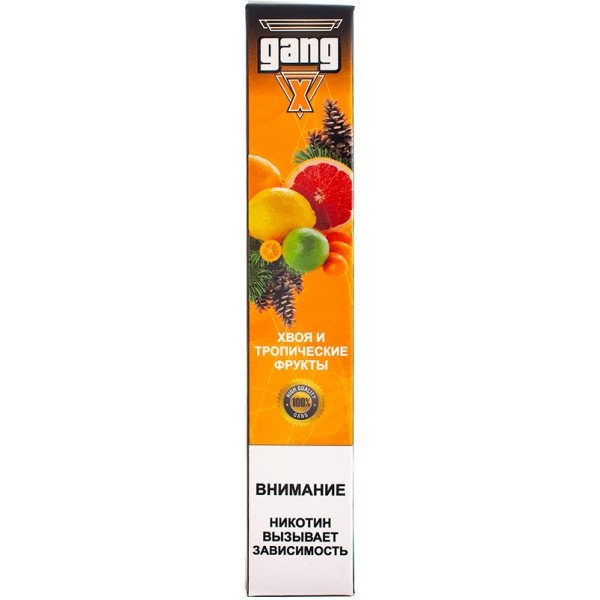 Купить Gang X - Хвоя и тропические фрукты, 1200 затяжек, 20 мг (2%)