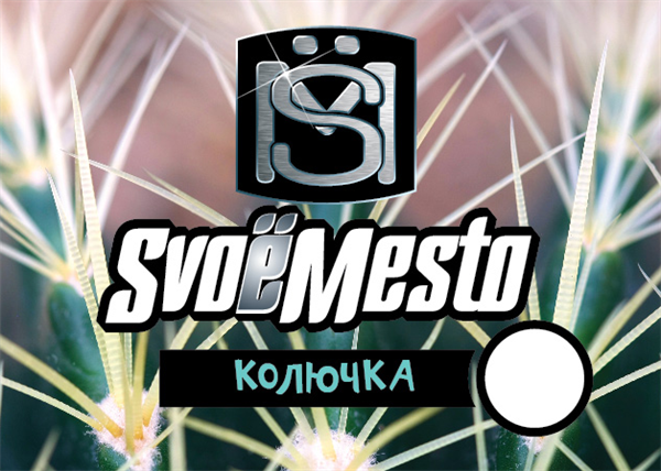 Купить SvoeMesto - Колючка (Лимон, Клюква, Яблоко, Фейхоа) 30мл