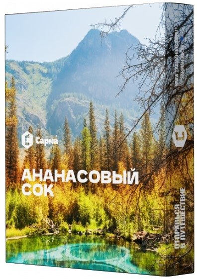 Купить Сарма - Ананасовый Сок 25г