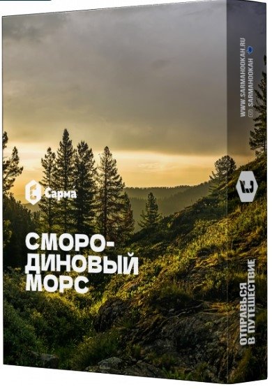 Купить Сарма - Смородиновый морс 25г