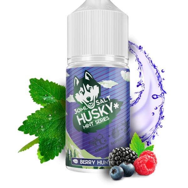 Купить Husky Salt Mint Series - Berry Hunter (Смородина - Мята - Малина) 30мл №2