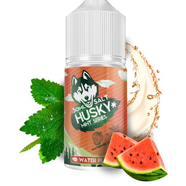 Купить Husky Salt Mint Series - Water Place (Арбуз - Мята) 30мл №2