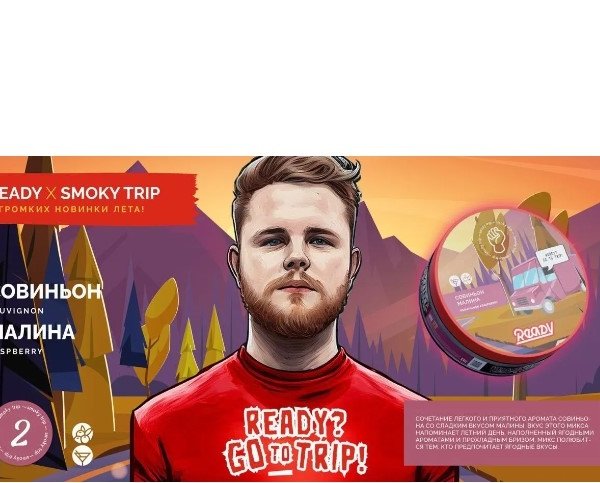 Купить Ready Smoke Trip - 2 (Совиньон-Малина) 30г