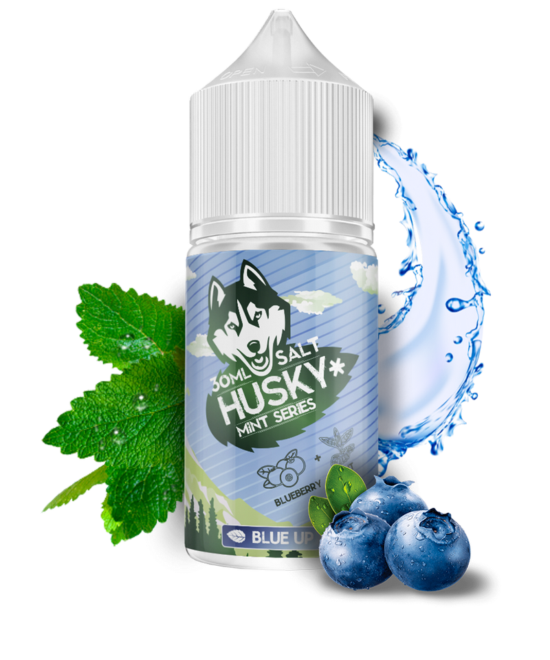 Фото Husky Salt Mint Series - Blue Up (Голубика) 30мл №2