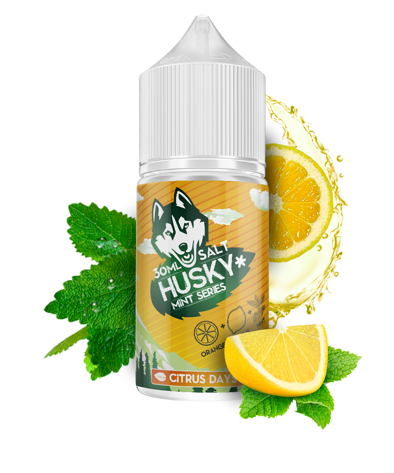 Фото Husky Salt Mint Series Strong - Citrus Days (Апельсин - Мята) 30мл