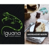 Купить Iguana HARD - Американский Чизкейк (100 грамм)