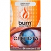 Купить Burn - Lemon Mint (Лимон и Мята, 100 грамм)