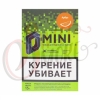 Купить D Mini Арбуз