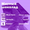 Купить Мятный шоколад (рецепт)