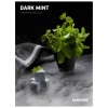 Купить Dark Side Base 100 гр-Dark Mint (Тросниковая мята)
