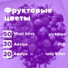 Купить Фруктовые цветы (рецепт)