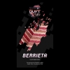 Купить Duft All In - Berrieta  (Малиновый пирог) 25г