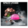 Купить Dark Side CORE - Space Lychee (Личи)  250г