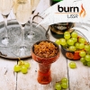 Купить Burn - USSR (Шампанское, 20 грамм)