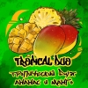 Купить B3 - Tropical Duo (Ананас-Манго) 50г