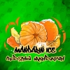 Купить B3 - Mandarin Ice (Ледяной Мандарин) 50г