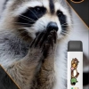 Купить City Zoo - Енот (Манго Персик Арбуз), 700 затяжек, 18 мг (1,8%)