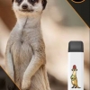 Купить City Zoo - Сурикат (Дыня Малина), 700 затяжек, 18 мг (1,8%)