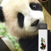 Купить City Zoo - Панда (Яблоко Груша), 700 затяжек, 18 мг (1,8%)