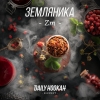 Купить Daily Hookah - Земляника 60г