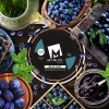 Купить Manual Blue - Blue Mist (Голубика) 25г