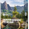 Купить Сарма - Земляничное печенье 25г
