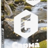 Купить Сарма - Ореховое молочко 40г