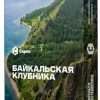 Купить Сарма - Байкальская Клубника 25г