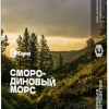 Купить Сарма - Смородиновый морс 25г