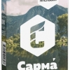 Купить Сарма - Облепиха-апельсин 40г