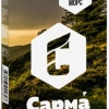 Купить Сарма - Смородиновый морс 40г