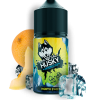 Купить Husky Salt Double Ice - North Sweet (Ледяная дыня) 30 мл №2