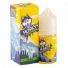 Купить Husky Salt Malaysian Series Strong - Wolfberry (Волчья ягода) 30мл